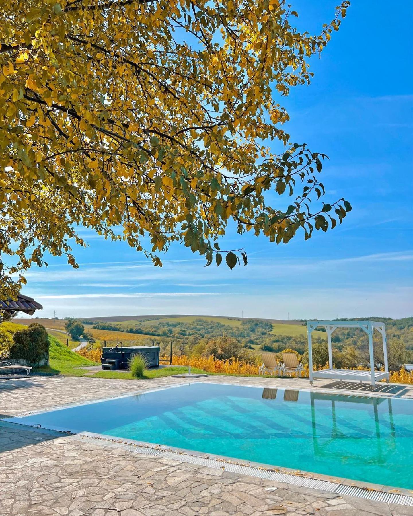 Hilltop Borhotel Neszmély Buitenkant foto
